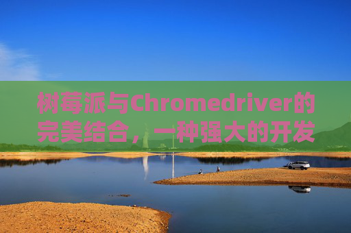 树莓派与Chromedriver的完美结合，一种强大的开发组合